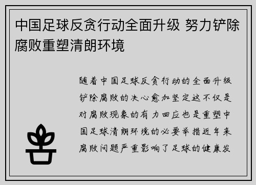 中国足球反贪行动全面升级 努力铲除腐败重塑清朗环境